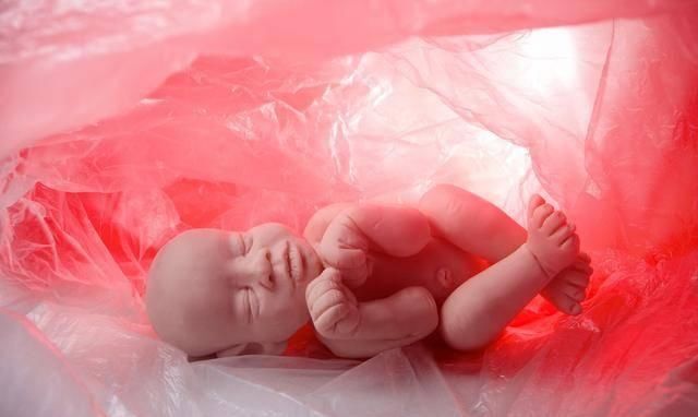 胎儿|孕妇吃什么能促进胎儿智力发育胎儿智力低,3种营养促大脑发育