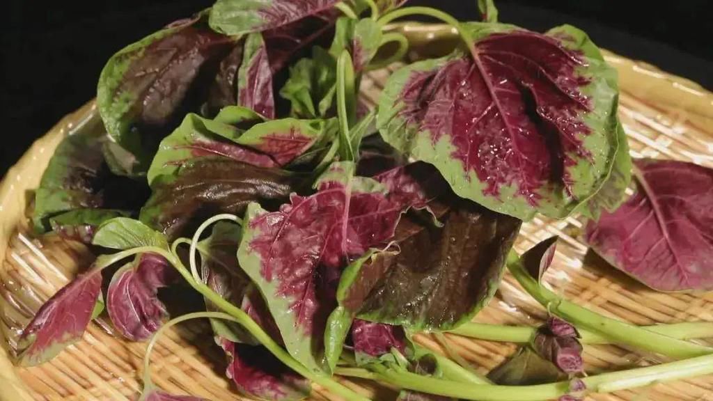 补钙|补钙第一名不是牛奶！这份补钙排行榜请收藏，照着吃能长个