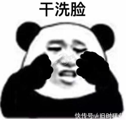 |「搞笑段子」老公买了一盆绿植，告诉我这是山茶花