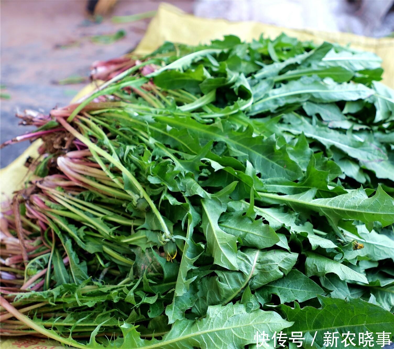 盘点那些年割过的6大猪草:以往没钱也不想吃,如今1盘菜几十元