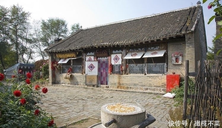  30年前农村很多，小孩常摘来玩，如今是一道美味，但知道的人不多