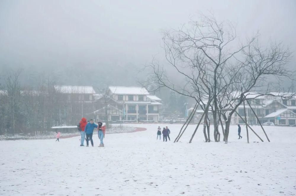 下雪|太美了！月坝下雪啦，刷爆朋友圈！