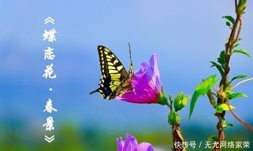 一枝花!“天涯何处无芳草”后一句,并非“何必单恋一枝花”,而是这句话