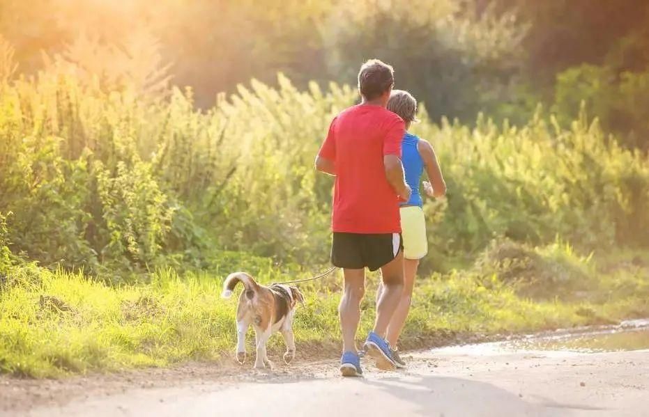 凉拌食物|最实用的夏季养生小知识