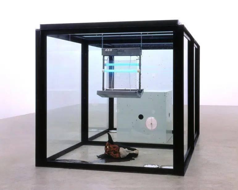 名字|起好名字=出名