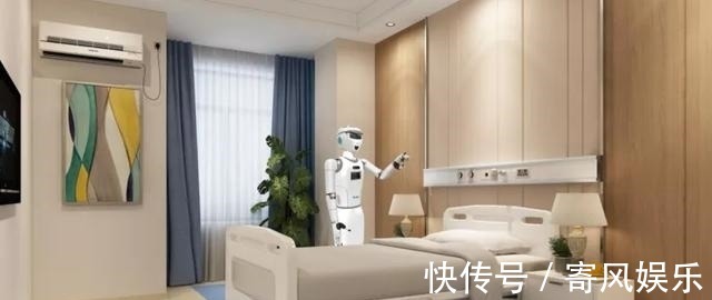 机器视觉|国内首发!高新这款人形智能机器人正式“上岗”