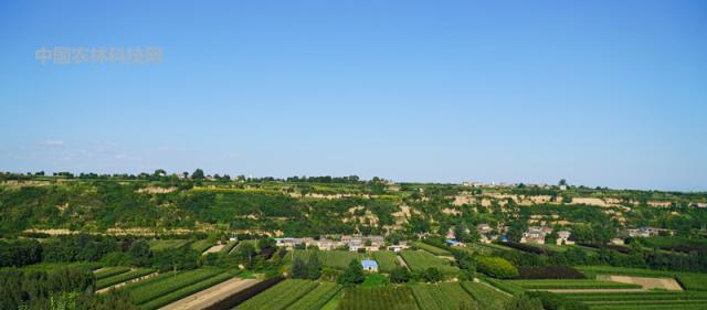  古寺|李世民母亲铜镜隐映出的寺庙，杨凌小湋河塬畔的照镜古寺