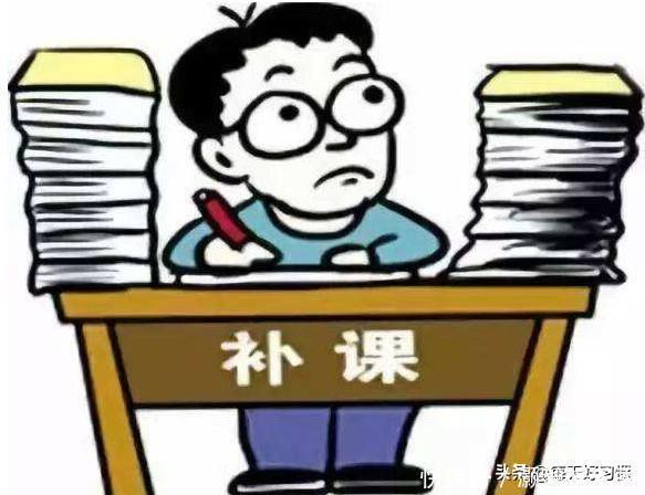 今年上小学的有福了，新一年级学生入学指南，请收好