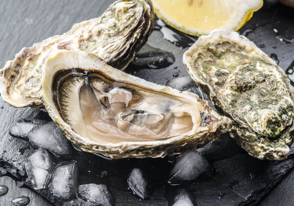 位数|据说这5种海鲜吃一顿至少4位数?有钱可能全吃过,没钱只听说过