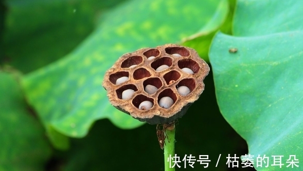 徐霞客|老祖宗:一个家庭的败落,往往从这些事开始,需谨慎