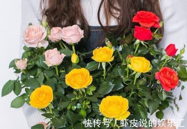 冬天花市“猫腻”多,5种“激素花”,多好看也别买,白白浪费钱