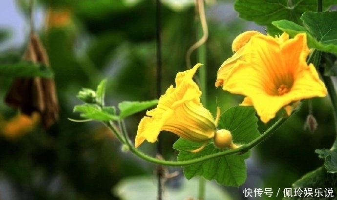 鬼谷子识人术一个人有没有出息,看这三点就够了