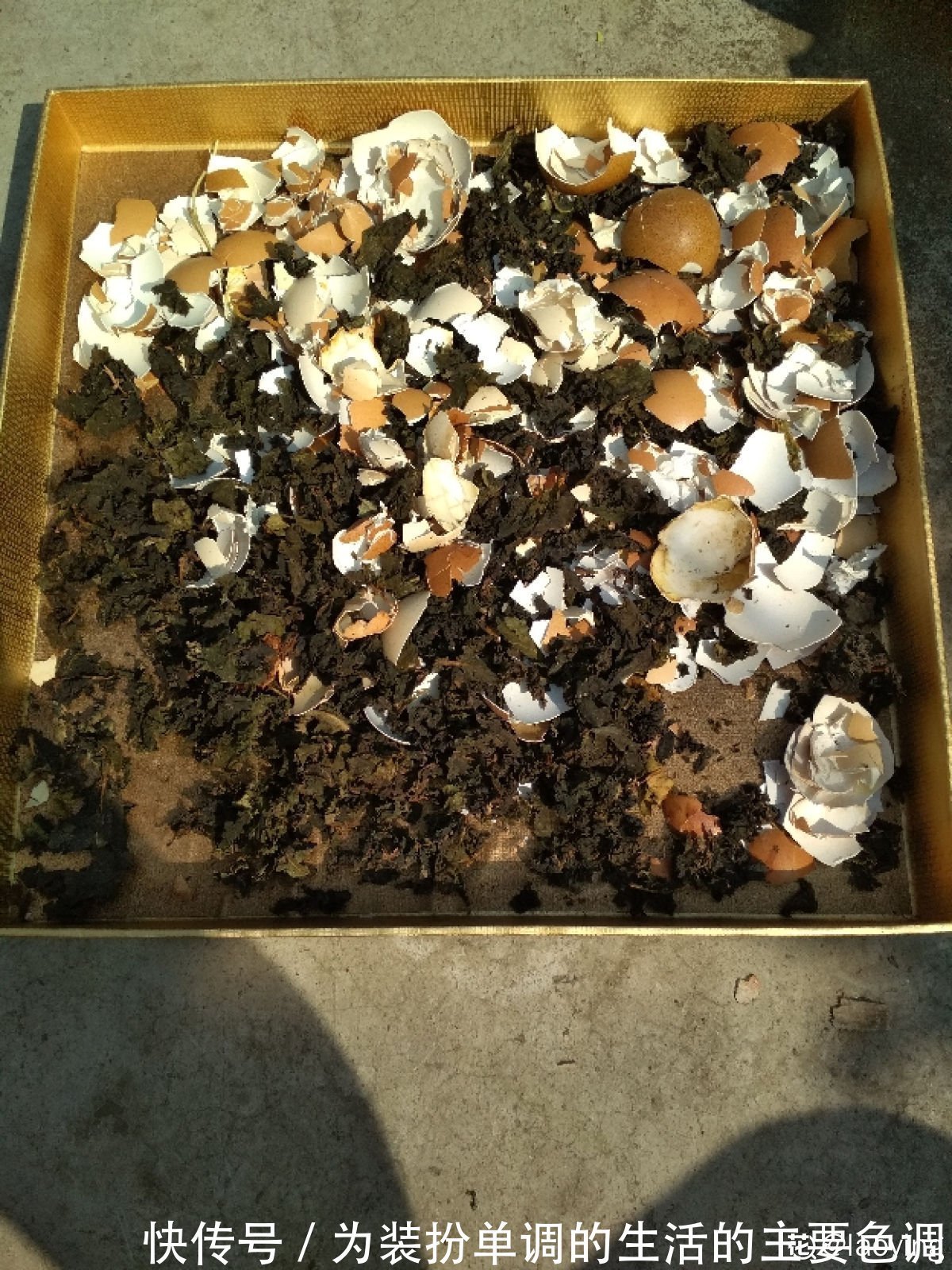 茶叶扔掉太浪费，泡过的、过期的还能这样用，家里老人都不知道