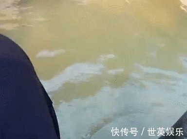 和朋友深山钓鱼,意外钓上“奇鱼”,鱼鳞大,颜色也特别,什么鱼