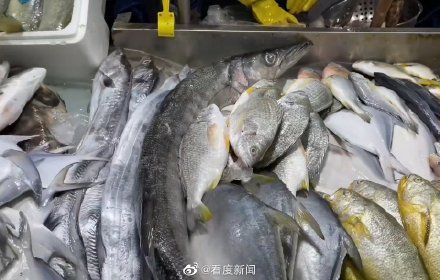 海产品|这些东西和海鲜天生不和