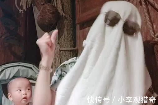 首富|“迪拜首富宝妈”哄娃火了,萌娃一脸懵圈我妈不会是个傻子吧