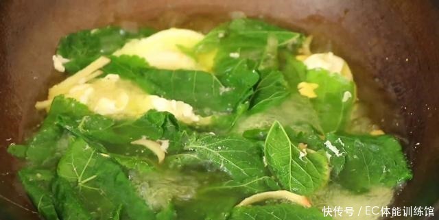 桑树全身都是宝,小慢教你桑叶新吃法,好吃营养又健康