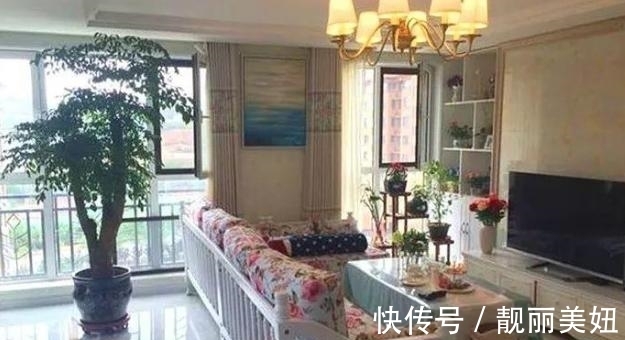 天冷养花,早晨别做这几件事,植物才会感激你哦