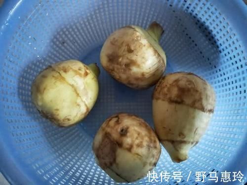 人体机|肺部细菌“天敌”被发现,常吃排毒清肺,咳嗽痰多的人可多吃