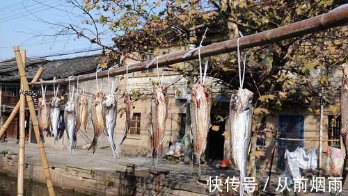 它是水库有害鱼类,俗称“刁子鱼”,过去除之不尽,如今成高档货