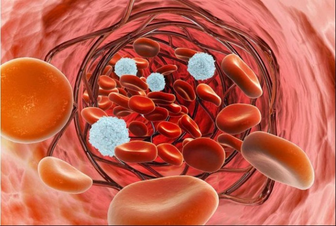 洗洁精|血管“洗洁精”发现，不是山楂水，放开喝，血管通了，大脑也健康