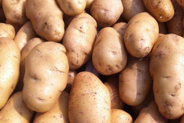 原来土豆这样才不发芽,甚至放一年不发芽不变黑,好方法赶紧学