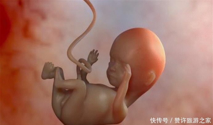 准妈妈|胎儿大脑发育,就看这三周,准爸爸准妈妈们重视起来