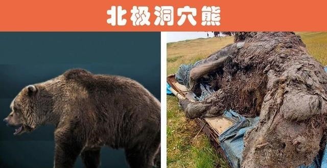 考古|人类在世界各地的岛屿上找到的8大神秘的考古发现