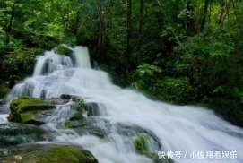 五一假期，喊你来黄柏塬“春食野”