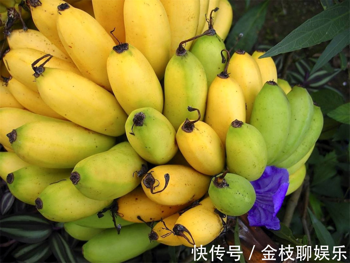 睡眠|凉爽的秋天来了，建议您常吃四种食物，有助睡眠，增强抵抗力