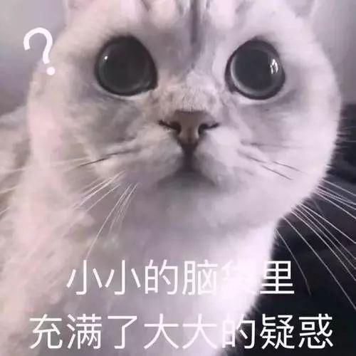 看学长学姐紧张等分，22考研的你们开始复习了吗？