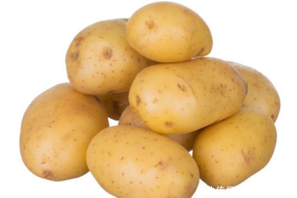 菜农|打了激素的土豆如何分辨老菜农教你几招,别再买错了!
