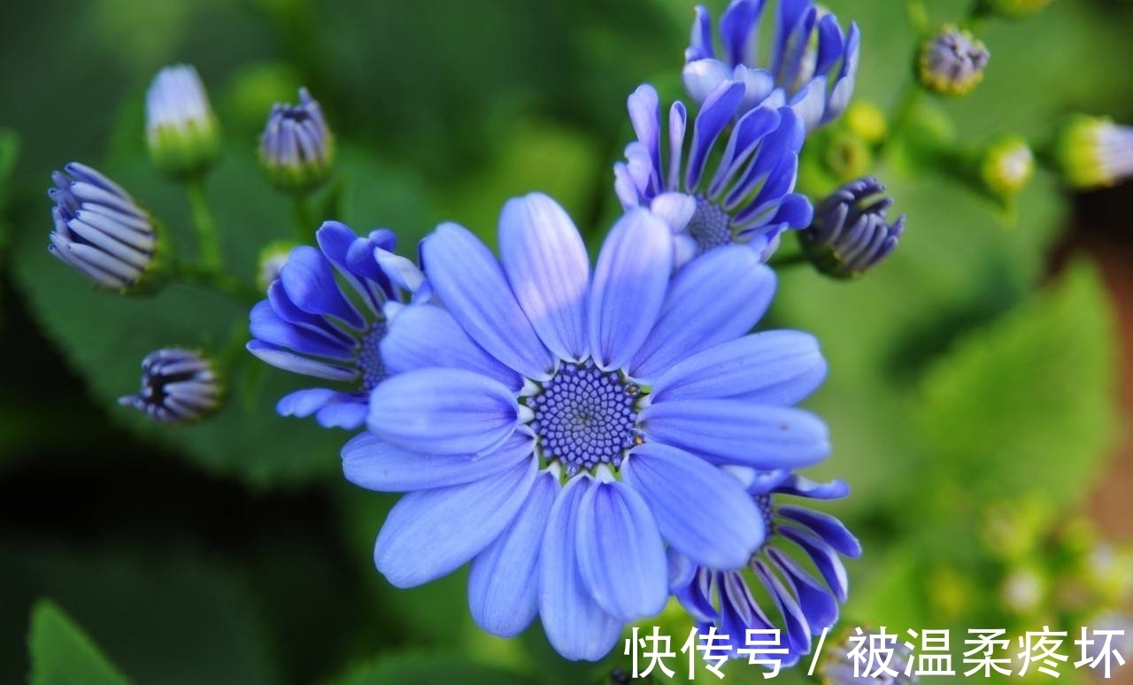 逆袭|属虎人!9·21日起财运大逆袭,够用2021年一整年,数钱到手软!