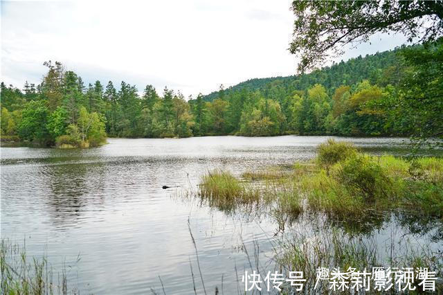 长白山|长白山深处被忽略的景区,鸳鸯池上没鸳鸯，但美的好像一幅画