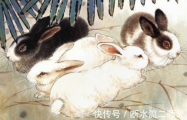 生肖|未来1天,运势四聚,财来运转,顺利熬出头的3生肖