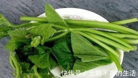 紫甘蓝|人到中年,不妨多吃四种食物,健胃消食,增强食欲,爱吃就赚到