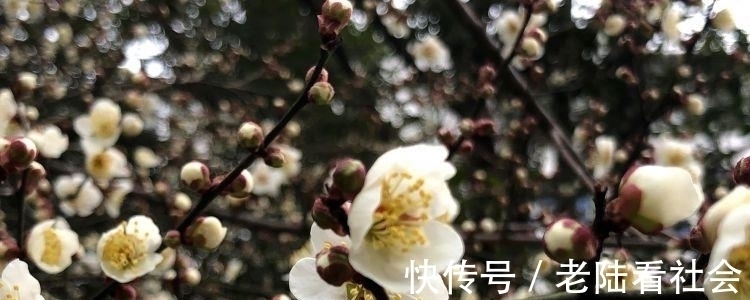 长相思&他终生不娶,却用一首词将爱情写到刻骨铭心,读一次感动一回!