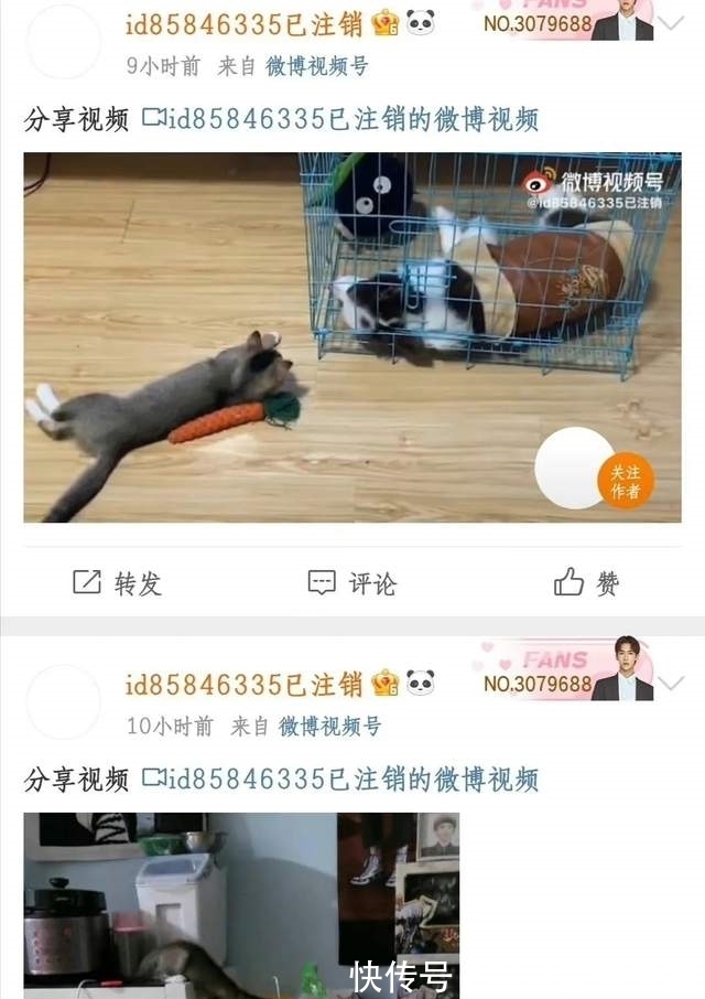 聊天记录|糊咖丁泽仁被曝劈腿?私联站姐嘴队友朱正廷,房虽塌了却无人伤亡