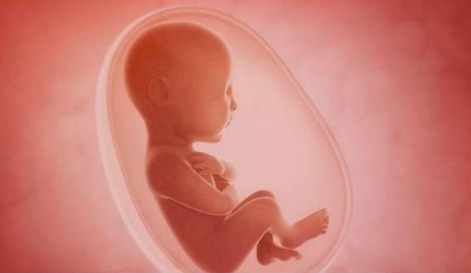 精子|胎儿的性别,事实是在孕期的这个时间段形成的,宝妈们来看看