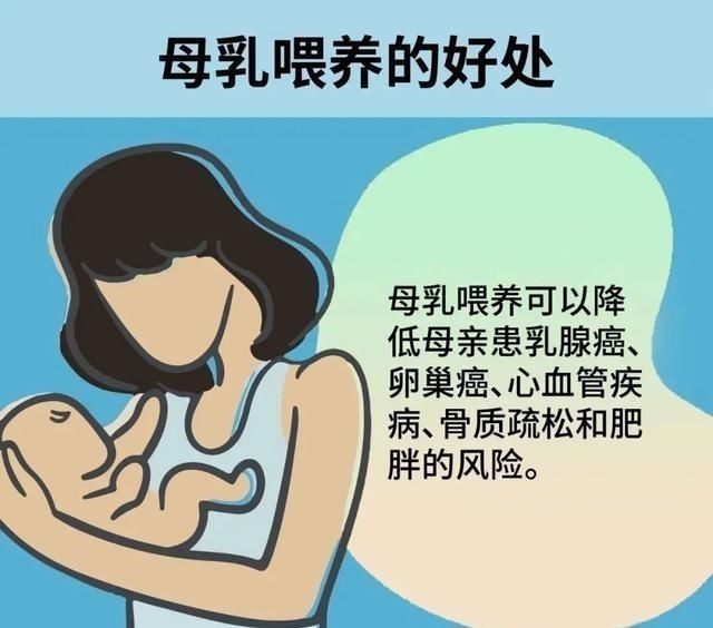 营养物质|世界母乳喂养周母乳喂养相关知识，一篇全知道