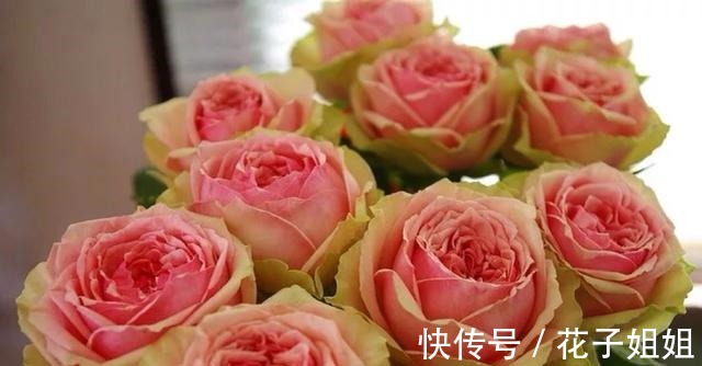 美味|那些名字很美味的月季 秀色可餐 吃货的福音！