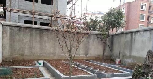 我的100㎡农家小院,种菜、养花、植树、养鱼,漂亮极了