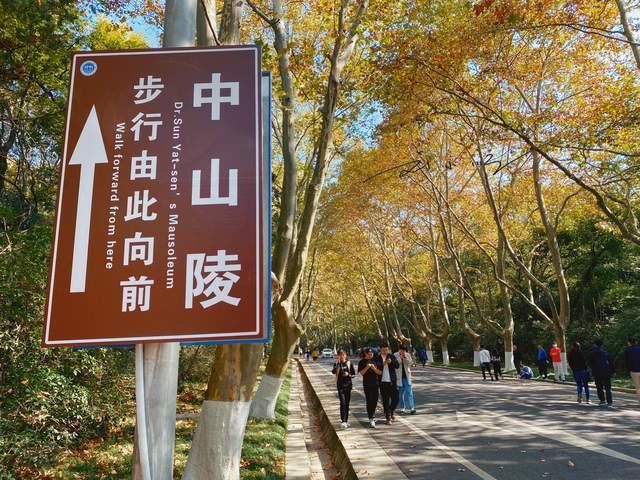 老年|南京有一条特别的道路，通往陵墓却成为网红景点，很多游客来拍照