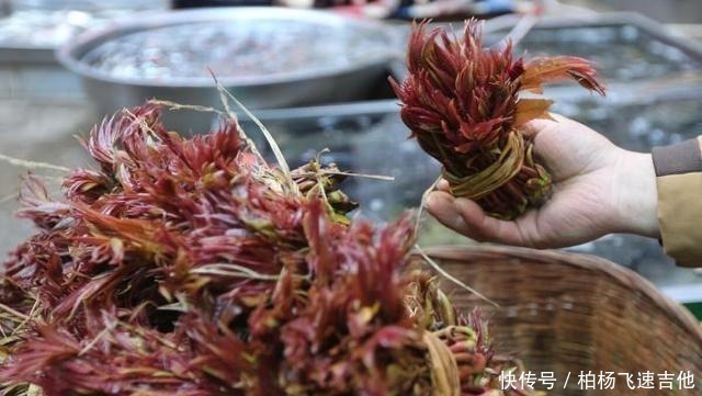 槐花菜|农村有种满身刺的木苗,村民这是“树上人参”