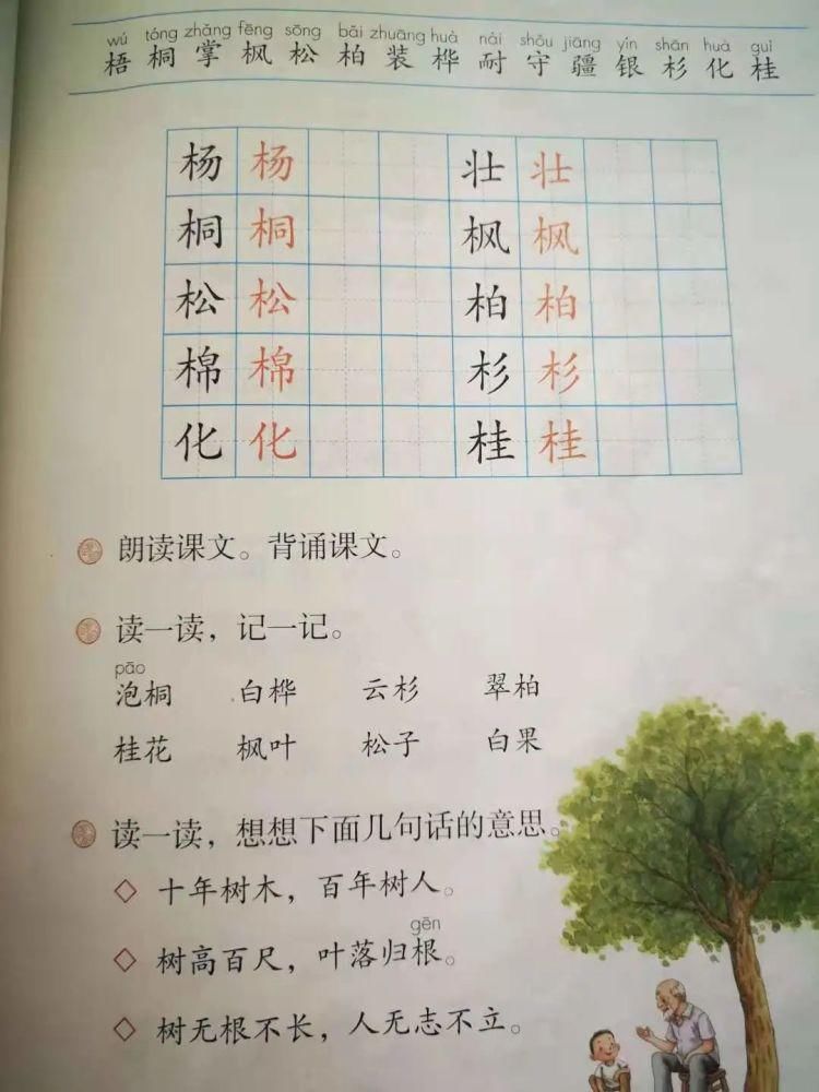 小学|小学语文用哪个教辅比较好？