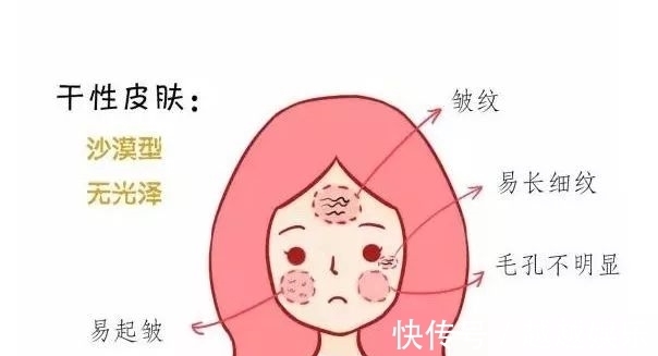 肤质 护肤品没少用,但是皮肤越来越差?认清肤质才是护肤的关键!