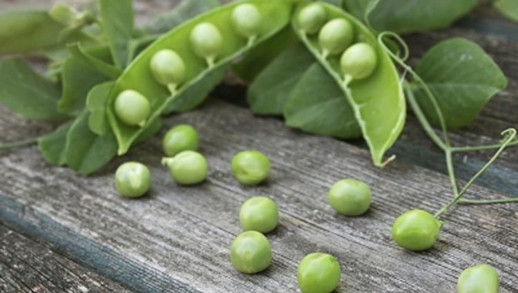 每天要堅持吃3種食物，排毒養(yǎng)顏、滋潤肌膚，早吃早好！