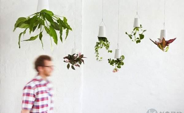 空中|房子小,咋养花?那就造一个空中花园