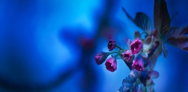 添加|妈妈注意 宝宝辅食添加的有什么讲究!妈妈注意 宝宝辅食添加的有什么讲究!