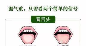 脾脏|湿气的“七寸”在哪里?你抓对了吗?湿重,少做3事,贵在坚持